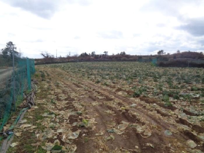 2025타경897 사진