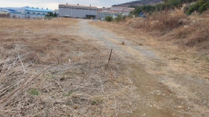 2025타경901 사진