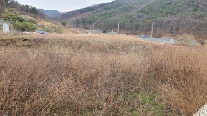2025타경901 사진