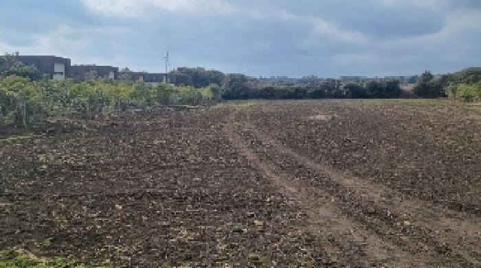 2025타경905 사진