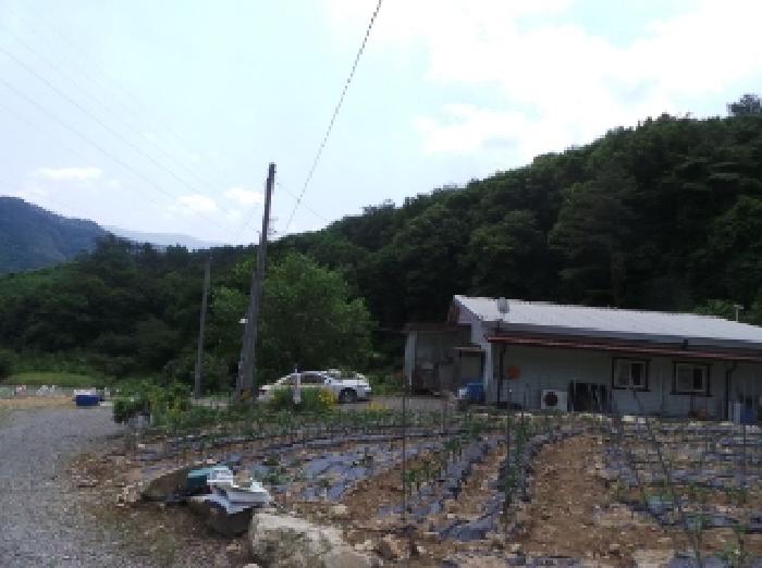 2025타경912 사진