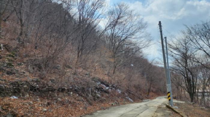 2025타경956 사진