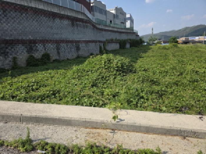 2025타경959 사진