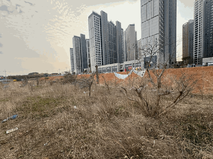 2025타경981 사진