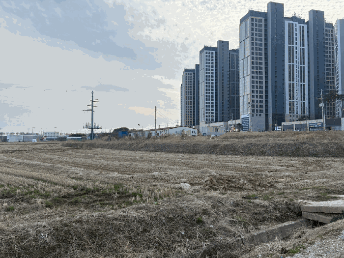 2025타경981 사진