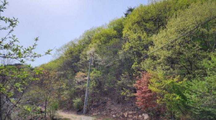 2025타경987 사진