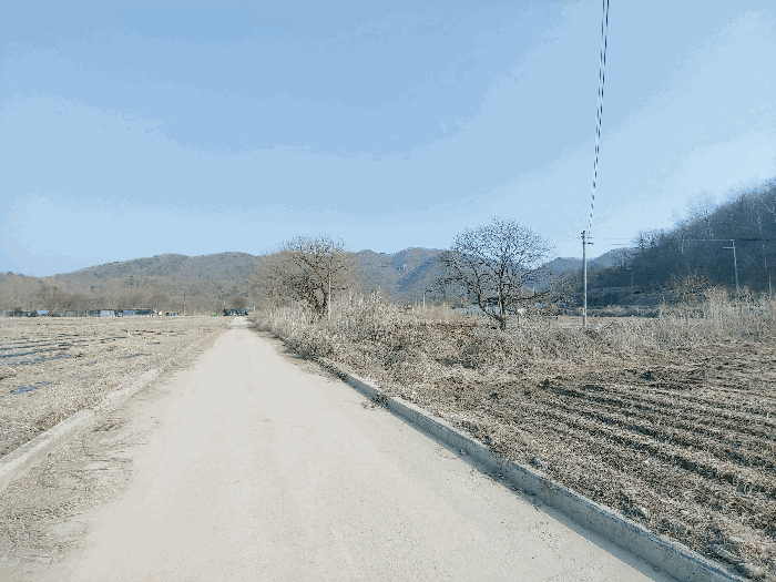 2025타경1005 사진