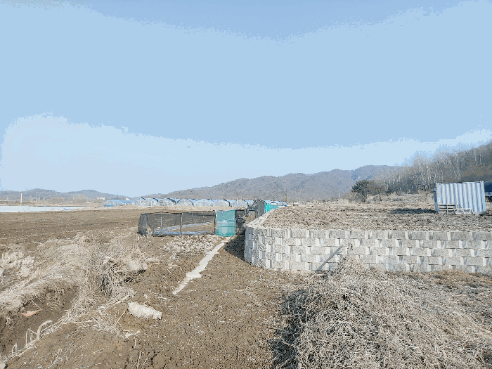 2025타경1005 사진
