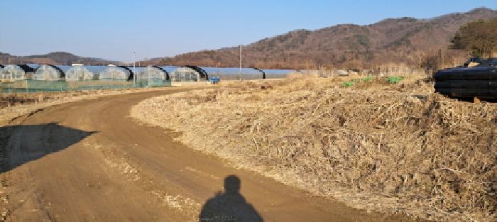 2025타경1005 사진