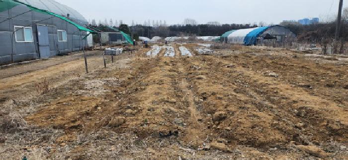 2025타경1012 사진