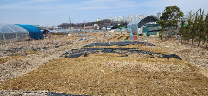 2025타경1012 사진