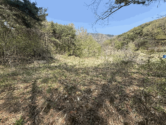 2025타경1043 사진