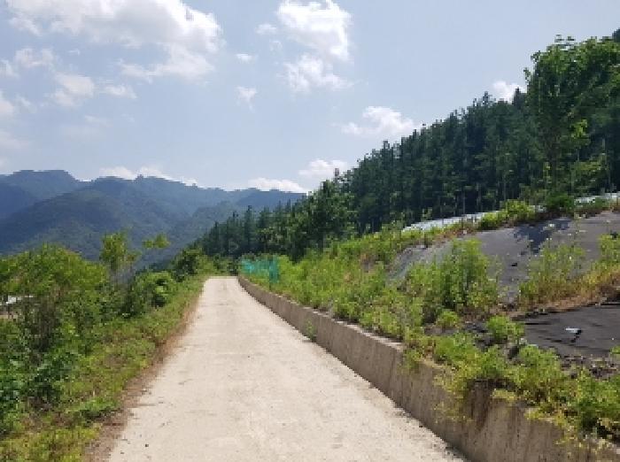 2025타경1142 사진