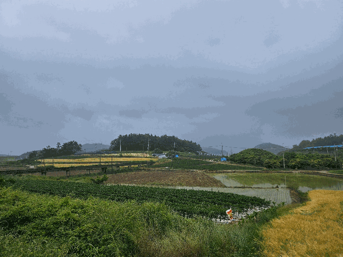 2025타경1153 사진