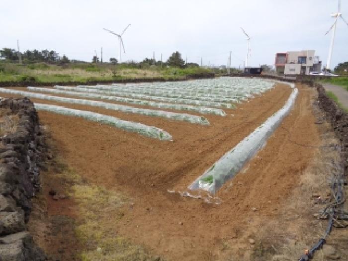 2025타경1173 사진
