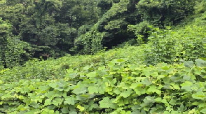 2025타경1201 사진