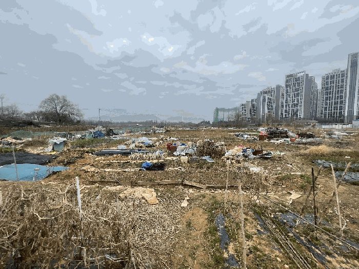 2025타경1212 사진