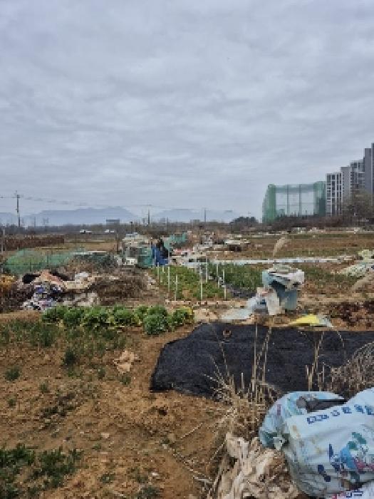 2025타경1212 사진