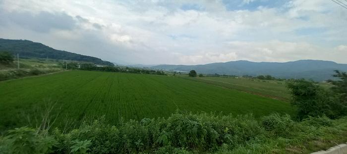 2025타경1392 사진
