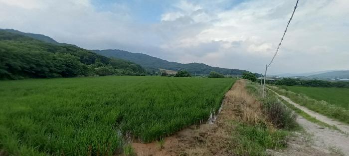 2025타경1392 사진