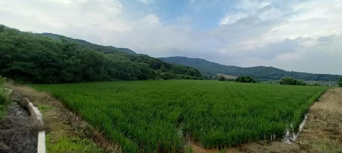 2025타경1392 사진
