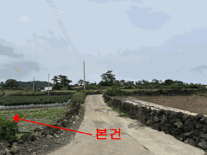 2025타경1400 사진