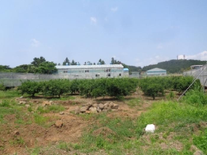 2025타경1410 사진