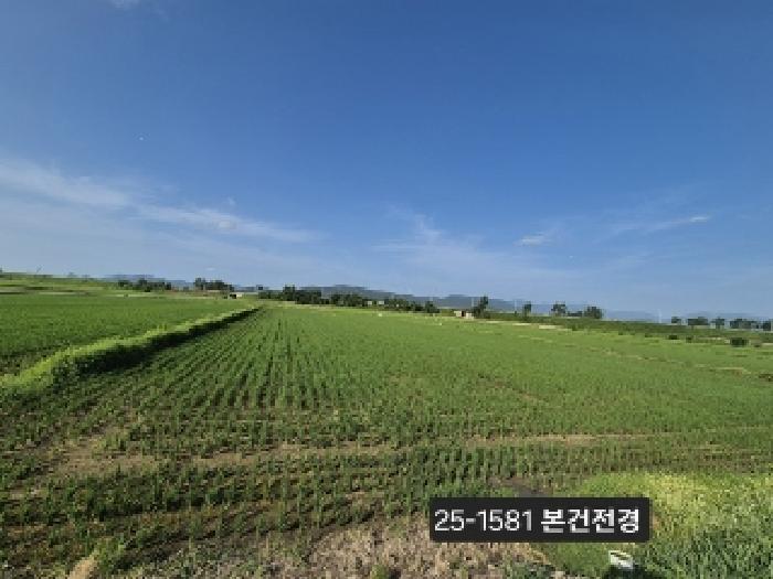 2025타경1581 사진
