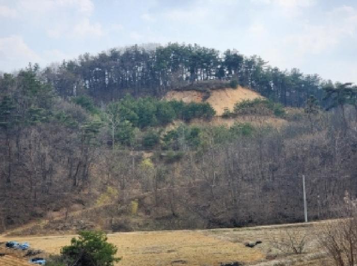 2025타경1613 사진