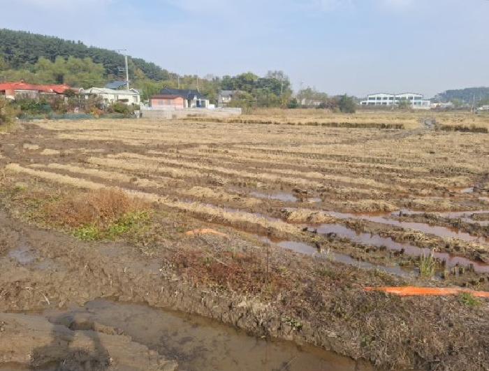 2025타경1669 사진