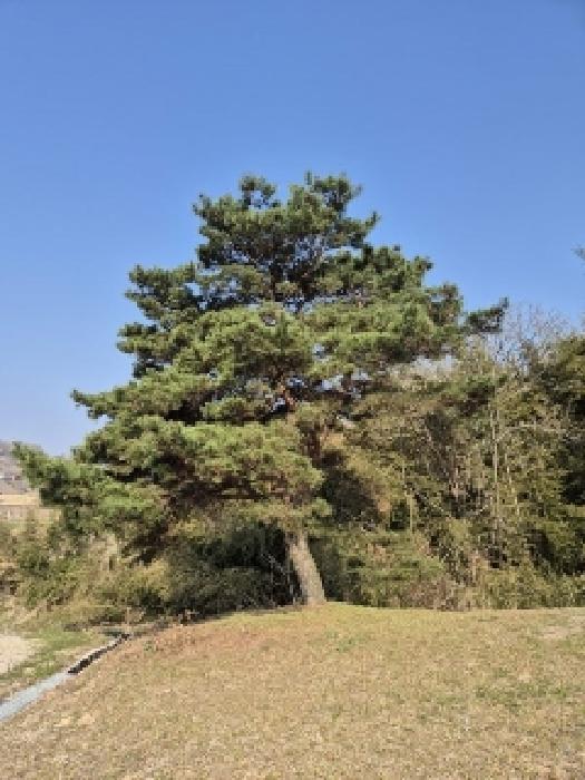 2025타경1847 사진