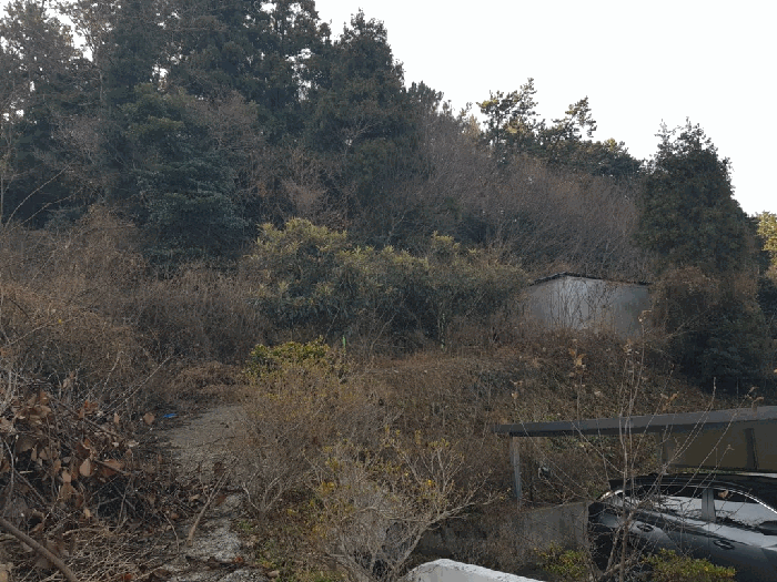 2025타경1924 사진