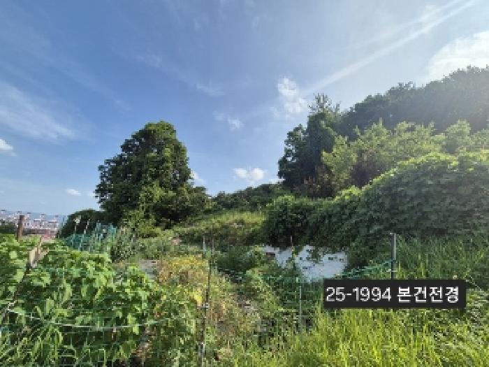 2025타경1994 사진