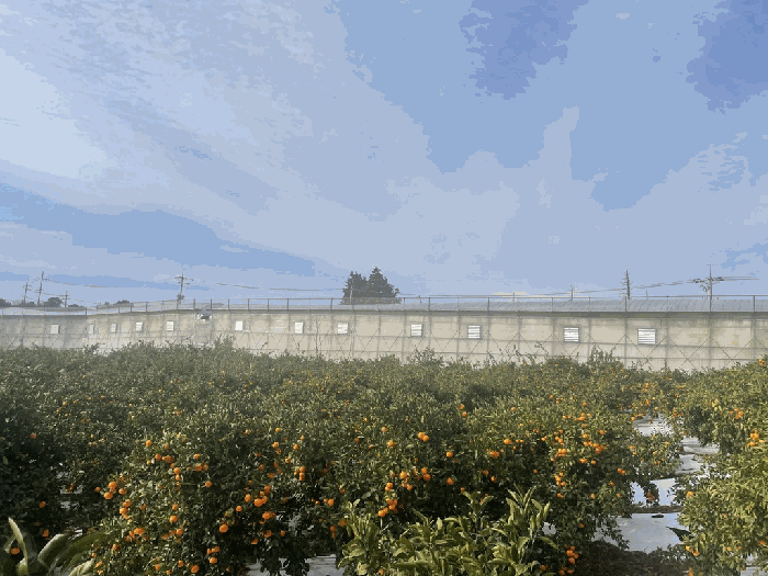2025타경2054 사진