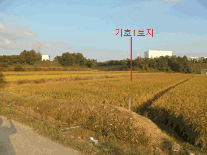 2025타경2381 사진