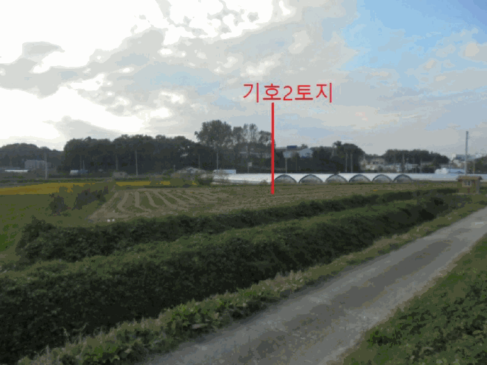 2025타경2381 사진