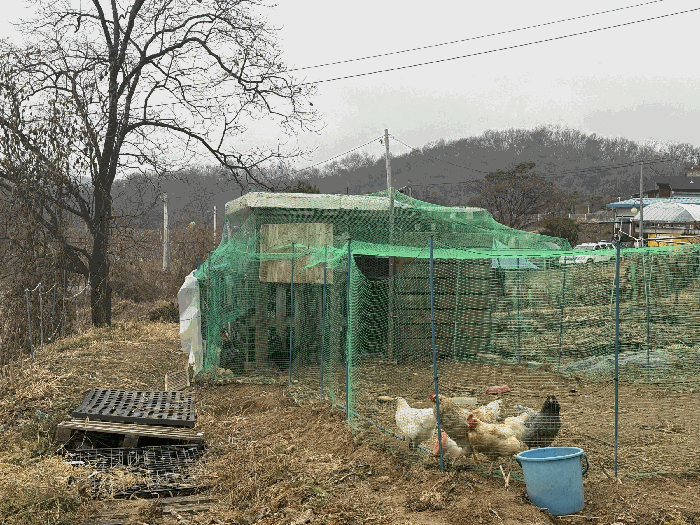 2025타경2664 사진