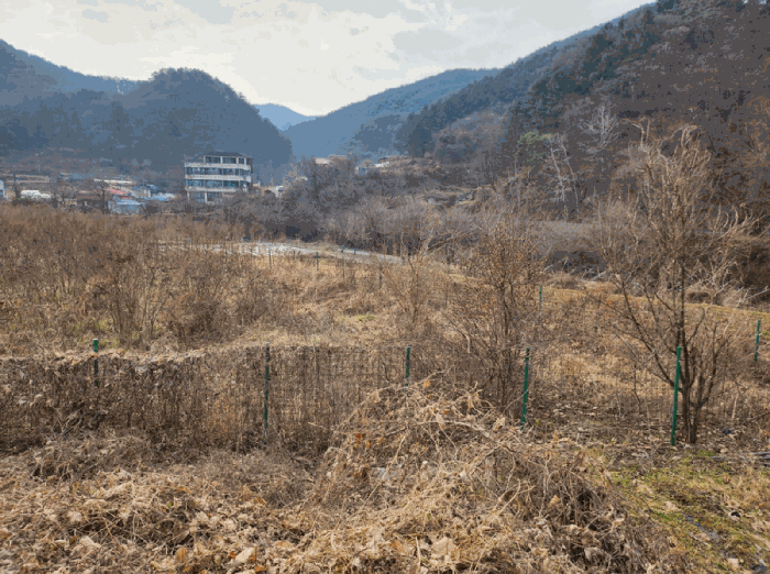 2025타경2718 사진