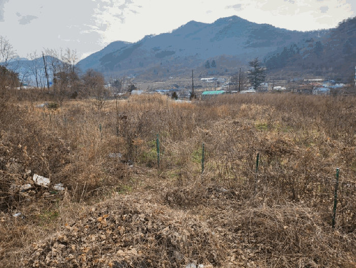 2025타경2718 사진