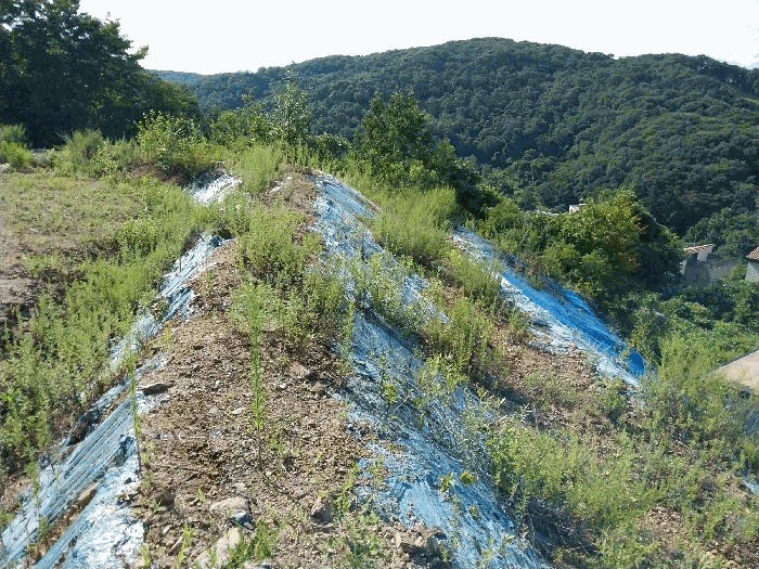 2025타경3212 사진