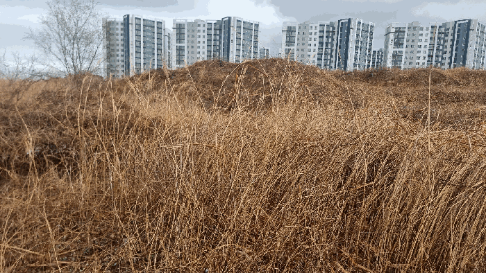 2025타경3606 사진