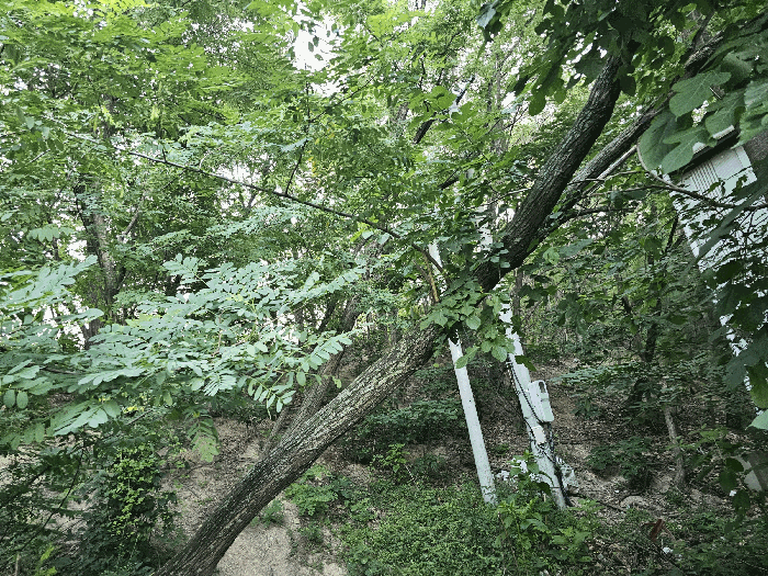 2025타경3882 사진