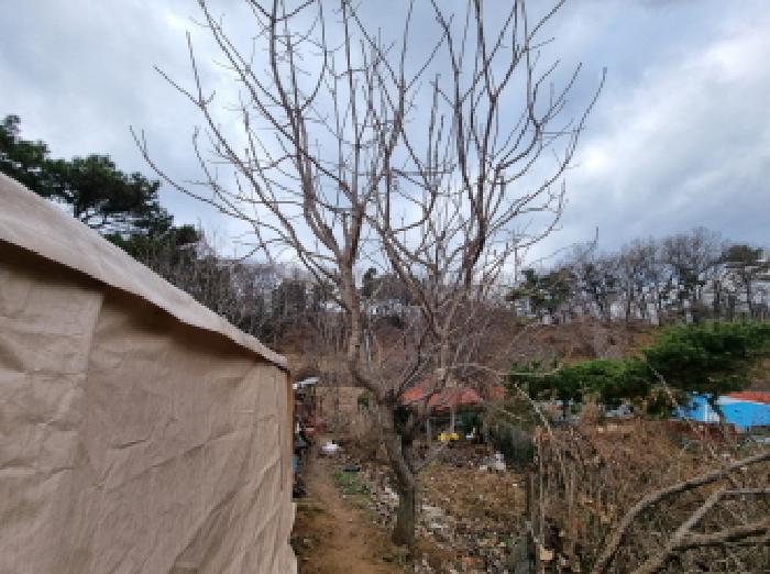 2025타경3998 사진