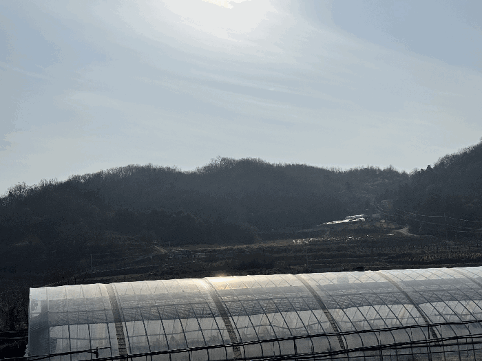 2025타경4005 사진