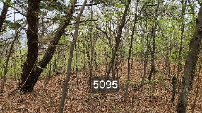 2025타경5095 사진