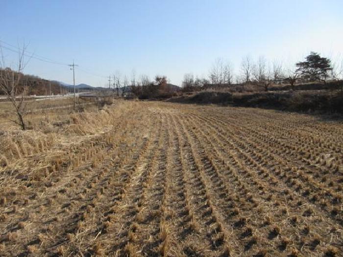 2025타경5195 사진