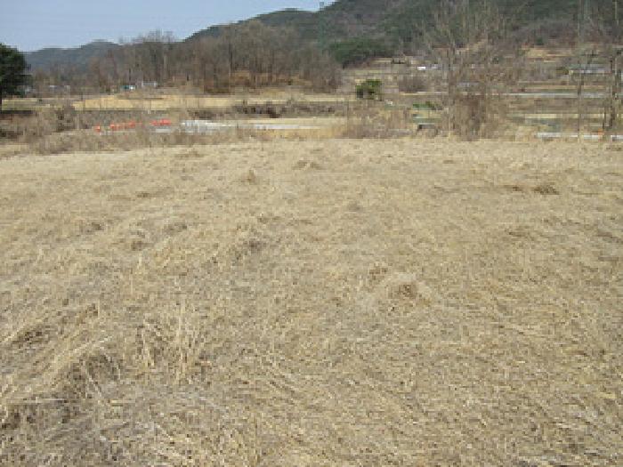 2025타경5235 사진