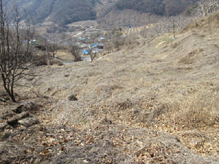 2025타경5240 사진