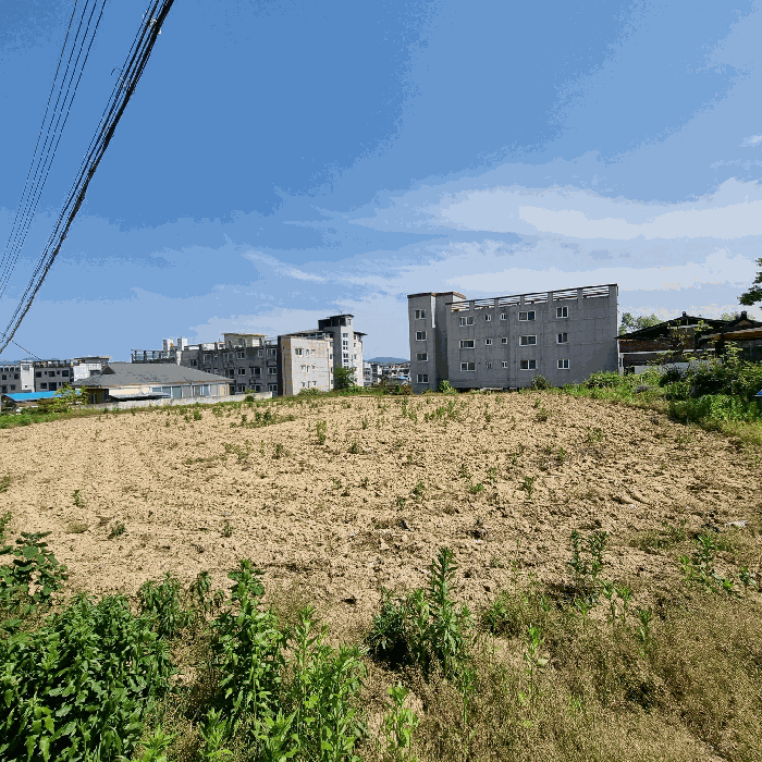 2025타경5312 사진