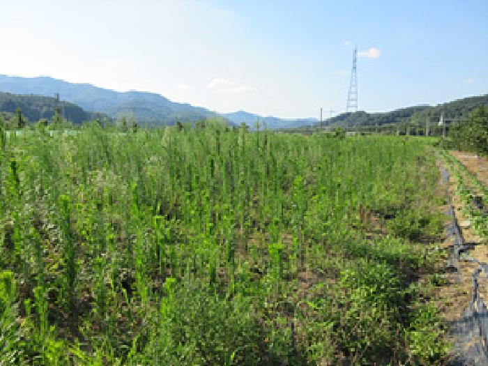 2025타경5373 사진